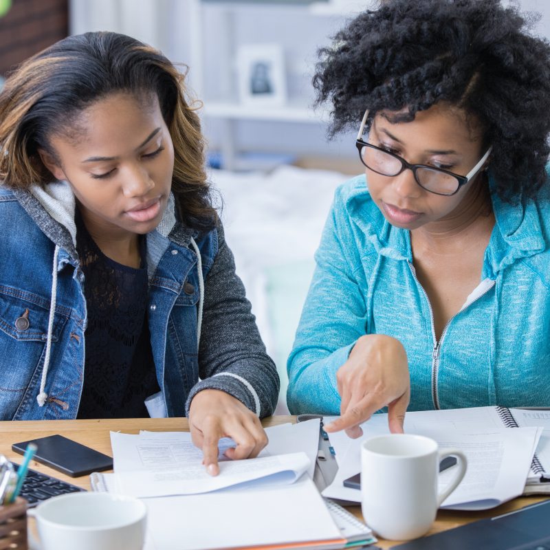 Two young adult women working on career planning